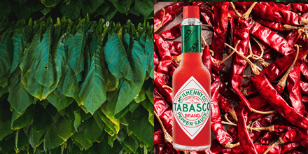 Tabasco vergeleken tobacco niet algemeen bekend