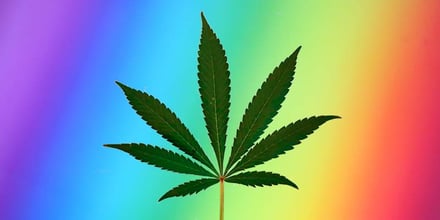 Merkenconflict in de cannabiswereld