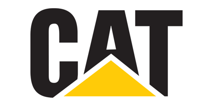 Welke kat? CAT of WHITE CAT?